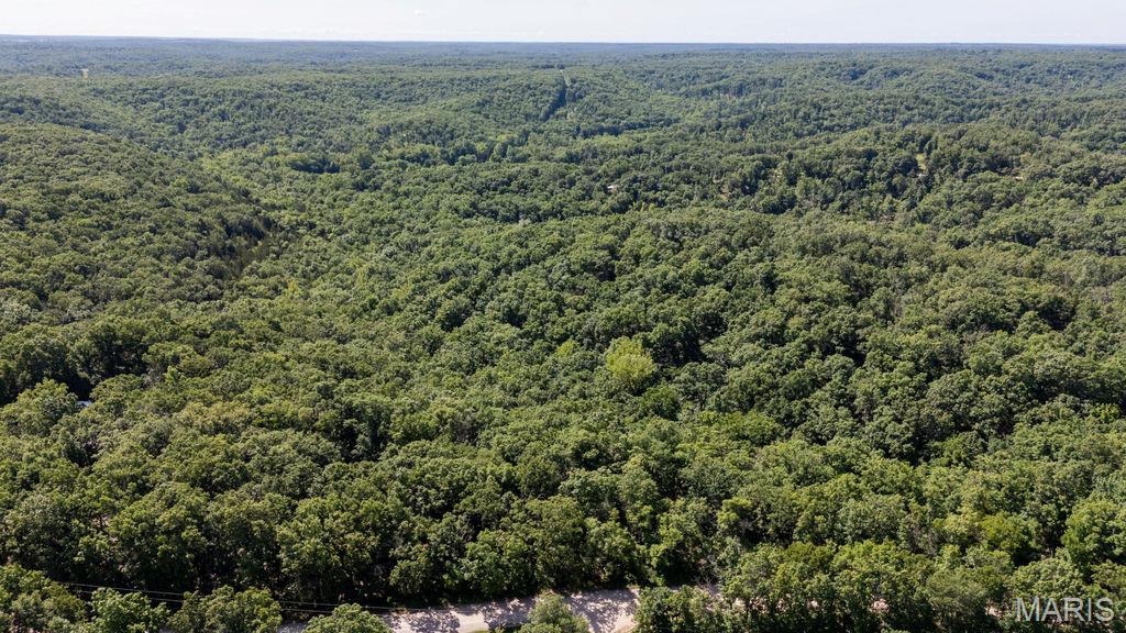 0 Aubrey Bell Road Camdenton, MO 65020 - Photo 4 of 44