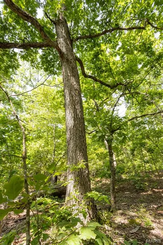 $29,500 | 0 Aubrey Bell Road, Camdenton, MO 65020