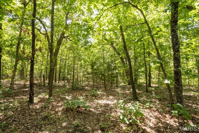 $29,500 | 0 Aubrey Bell Road, Camdenton, MO 65020