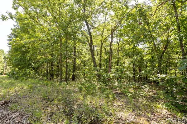 $29,500 | 0 Aubrey Bell Road, Camdenton, MO 65020
