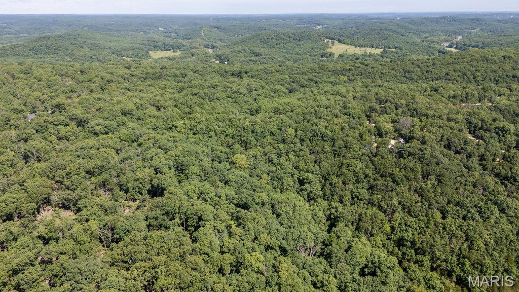 0 Aubrey Bell Road Camdenton, MO 65020 - Photo 10 of 44