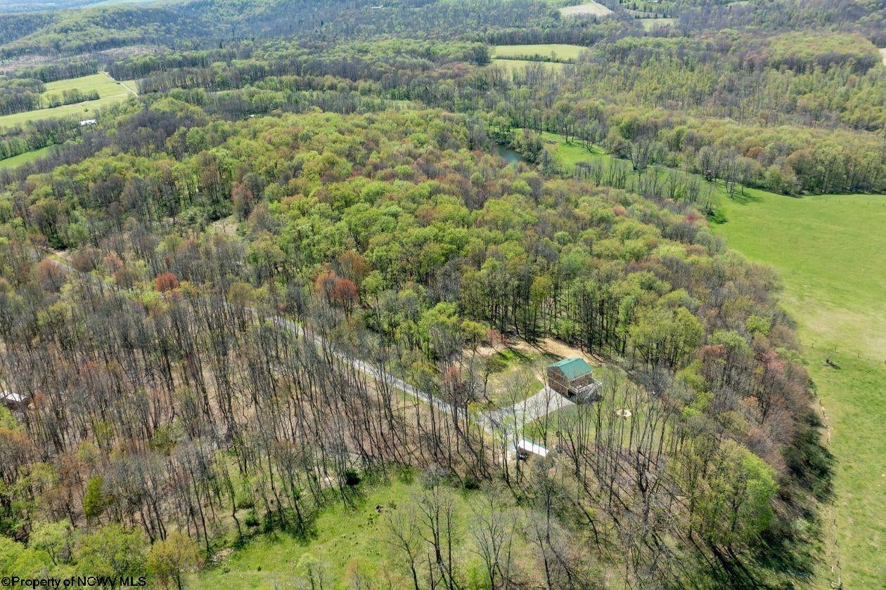 1263 Moccasin Rocks Road Bruceton Mills, WV 26525 - Photo 44 of 50 Gallery Image 44