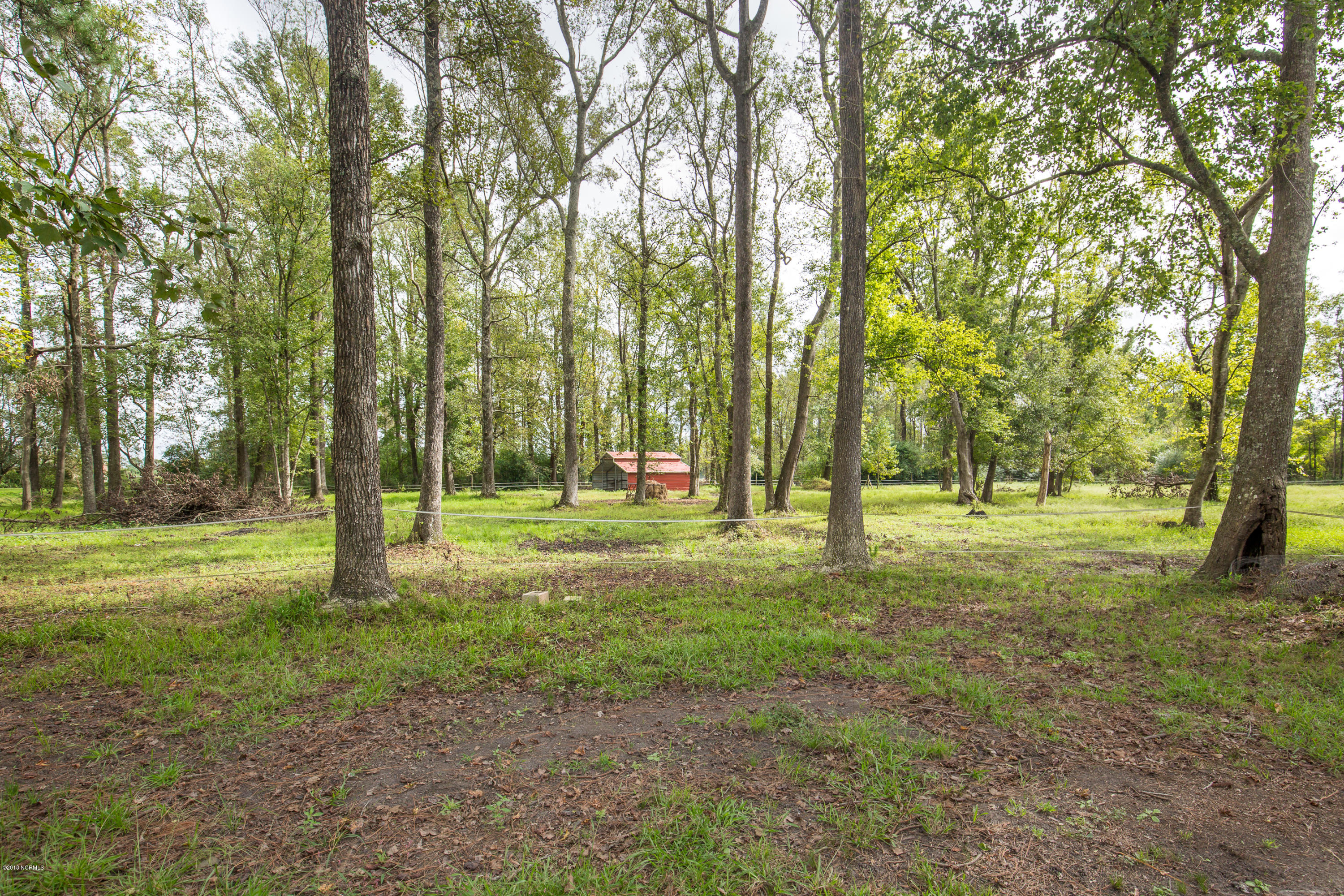 216 Baker Road Pink Hill, NC 28572 - Photo 38 of 50 untitled-9235