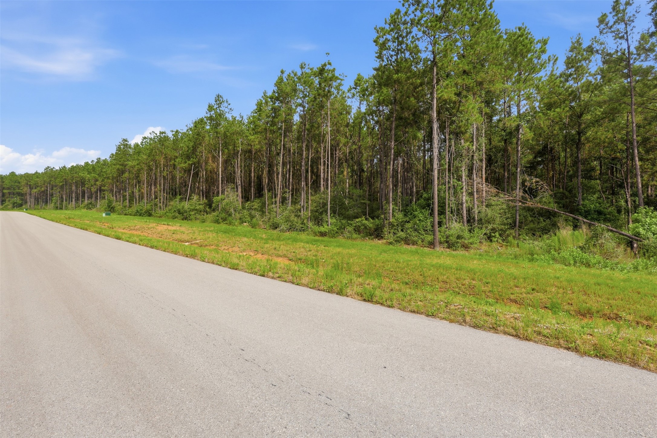 16030 Forest Mill Road Willis, TX 77378 - Photo 2 of 17 Beautiful 2 acre homesite surrounded by towering trees and natural beauty.