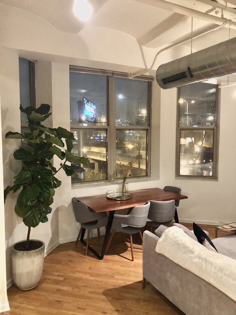 500 South Clinton Street, Unit 331 Chicago, IL 60607 - Photo 5 of 18