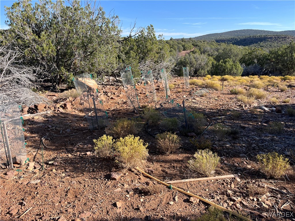 147 North Velvet Antler Road Kingman, AZ 86401 - Photo 11 of 22 Other