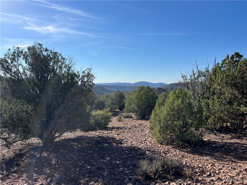 147 North Velvet Antler Road Kingman, AZ 86401 - Photo 14 of 22 View