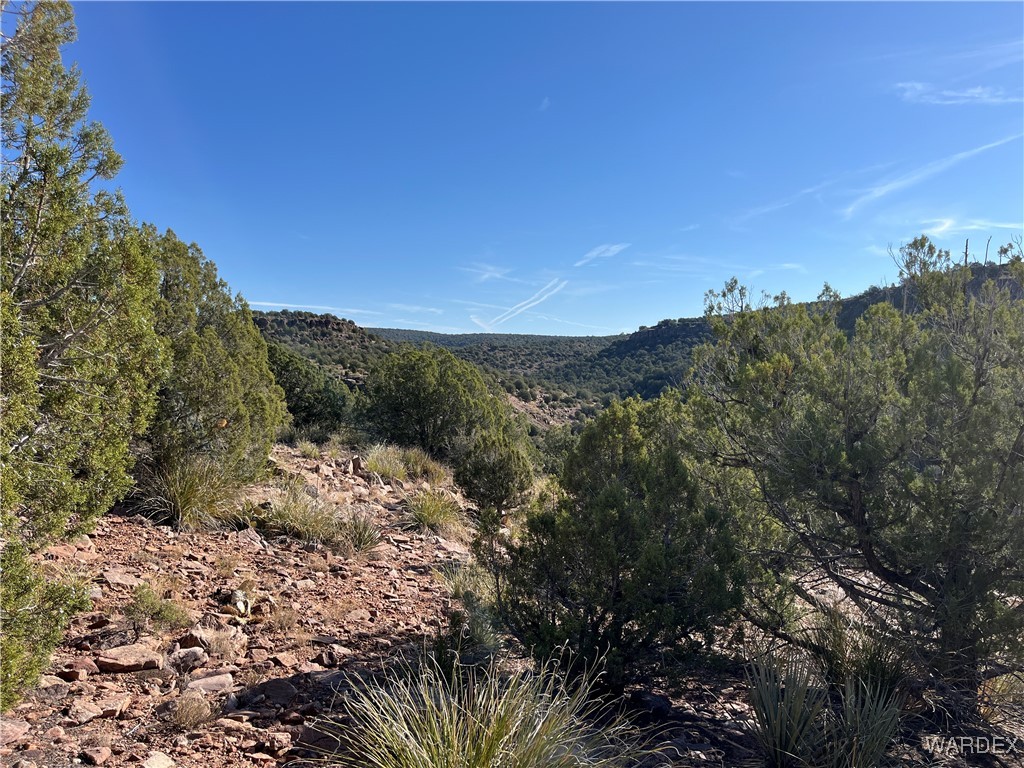 147 North Velvet Antler Road Kingman, AZ 86401 - Photo 18 of 22 View
