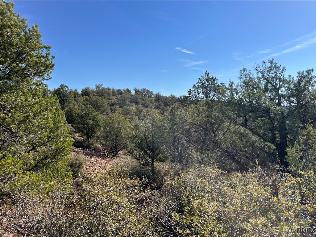 147 North Velvet Antler Road Kingman, AZ 86401 - Photo 19 of 22 Other