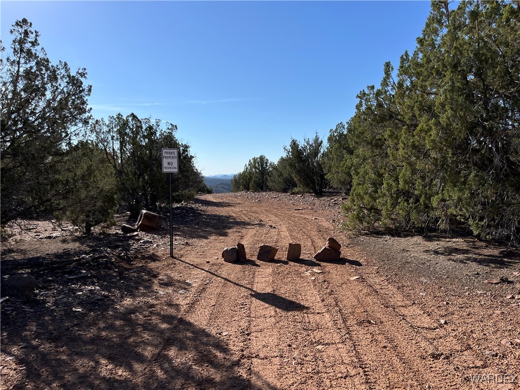 147 North Velvet Antler Road Kingman, AZ 86401 - Photo 20 of 22 Other