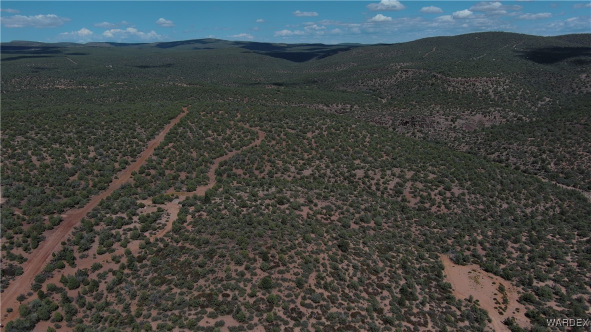 147 North Velvet Antler Road Kingman, AZ 86401 - Photo 2 of 22 Aerial View
