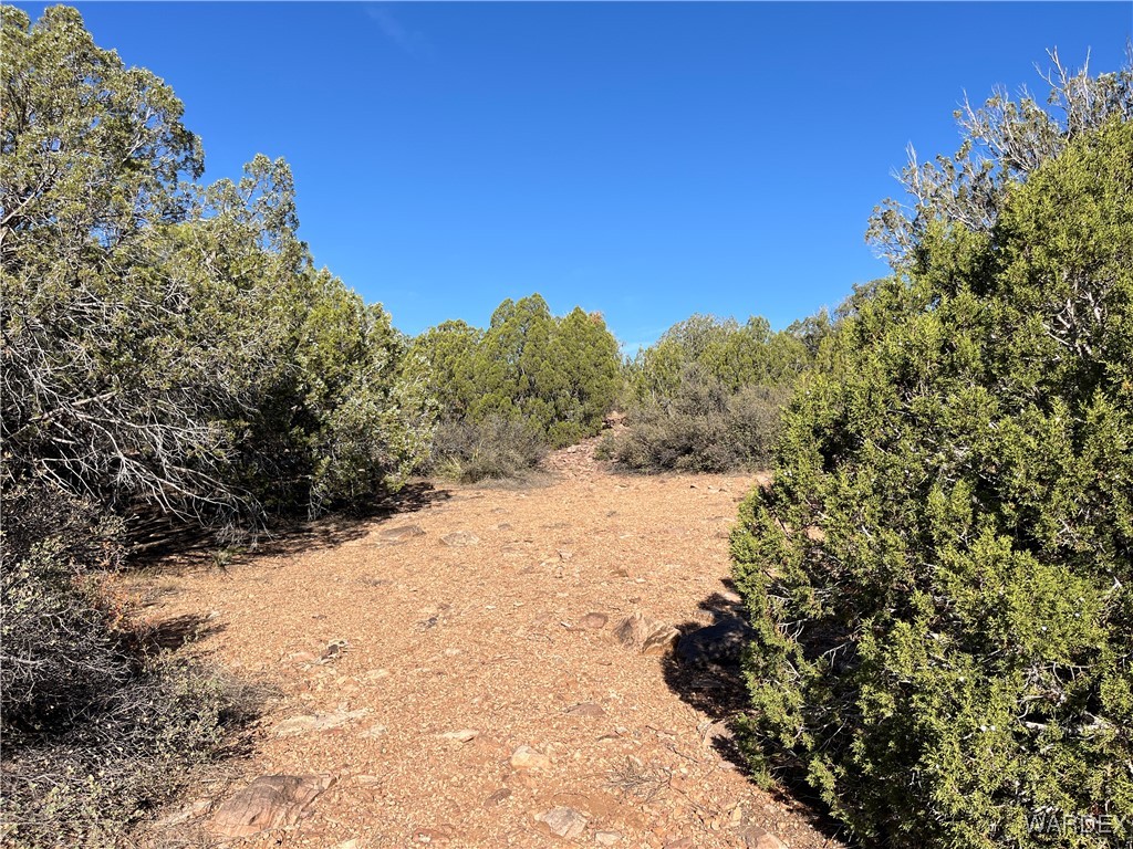 147 North Velvet Antler Road Kingman, AZ 86401 - Photo 10 of 22 Other