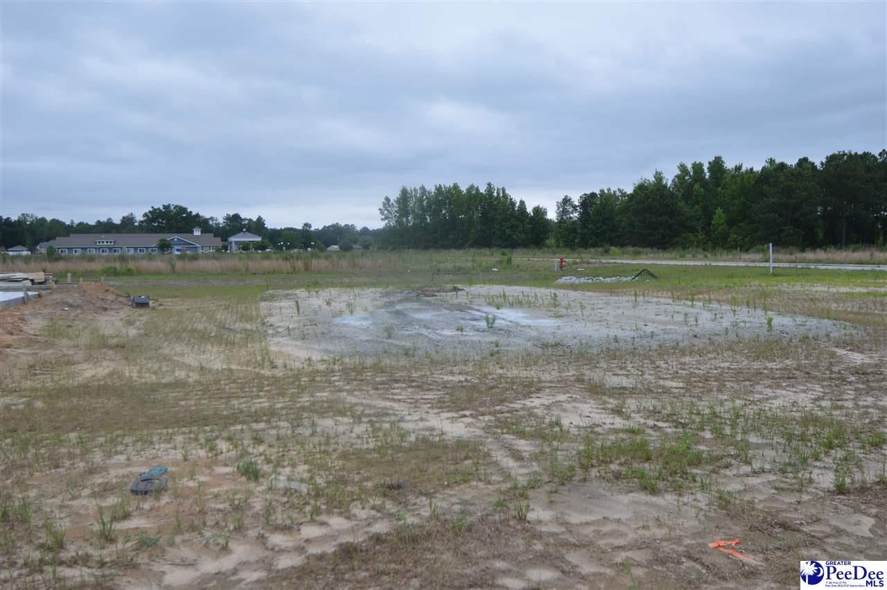Lot 26 Egrets Point Camden, SC 29020 - Photo 1 of 1 Gallery Image 1