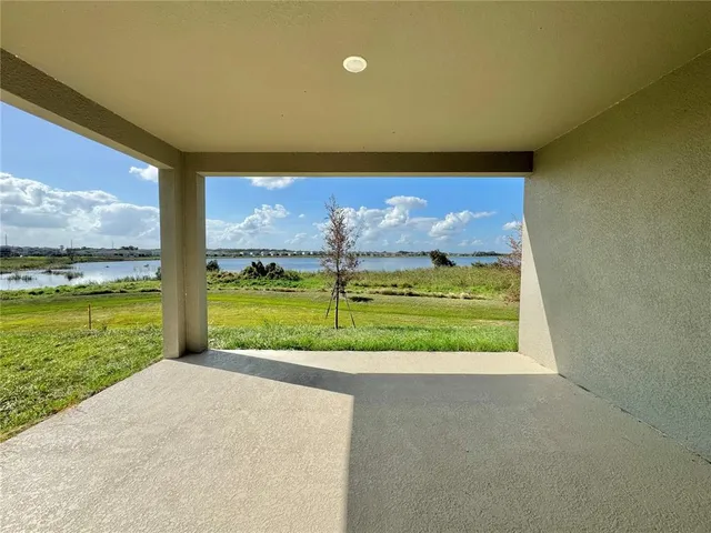 a view of a big yard with a large tree