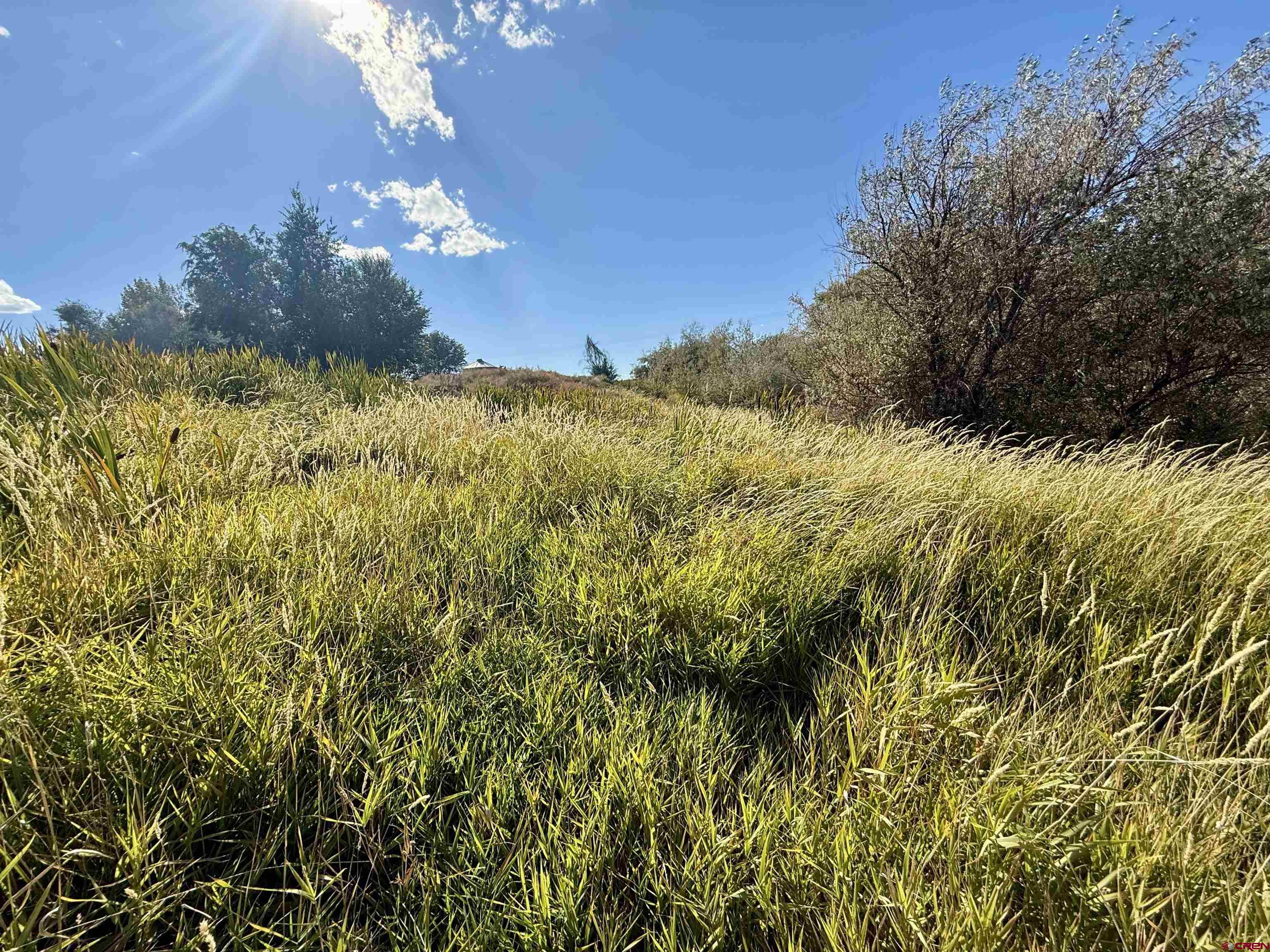Lot 3 5500th Road Olathe, CO 81425 - Photo 18 of 22 a view of a houses with a yard
