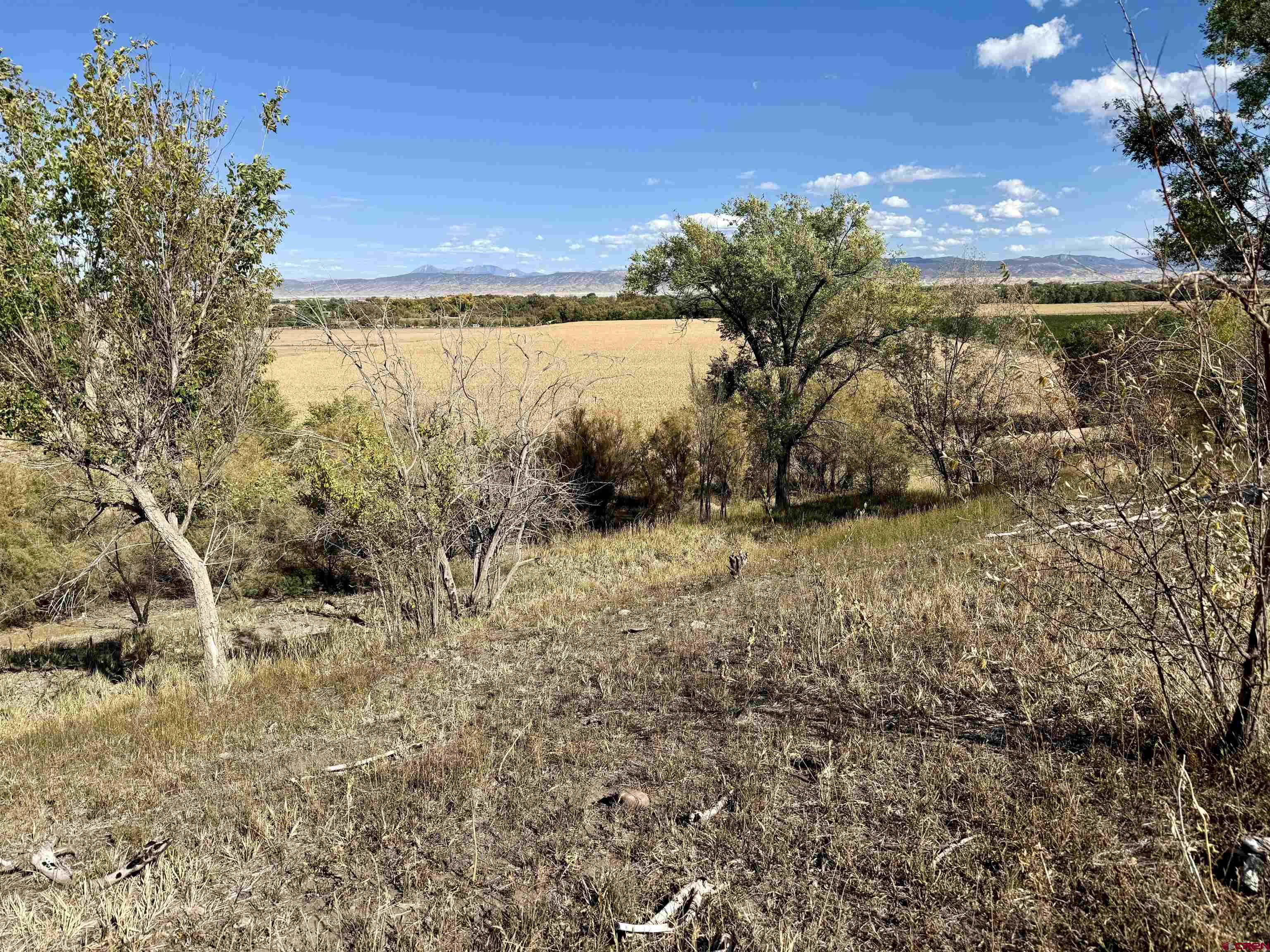 Lot 3 5500th Road Olathe, CO 81425 - Photo 2 of 22 a view of a lake with a yard