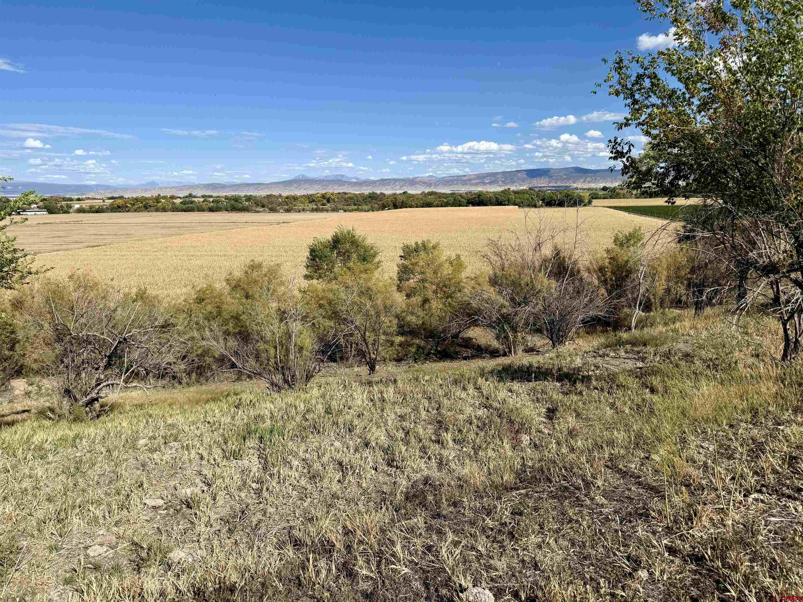 Lot 3 5500th Road Olathe, CO 81425 - Photo 5 of 22 a view of an ocean beach