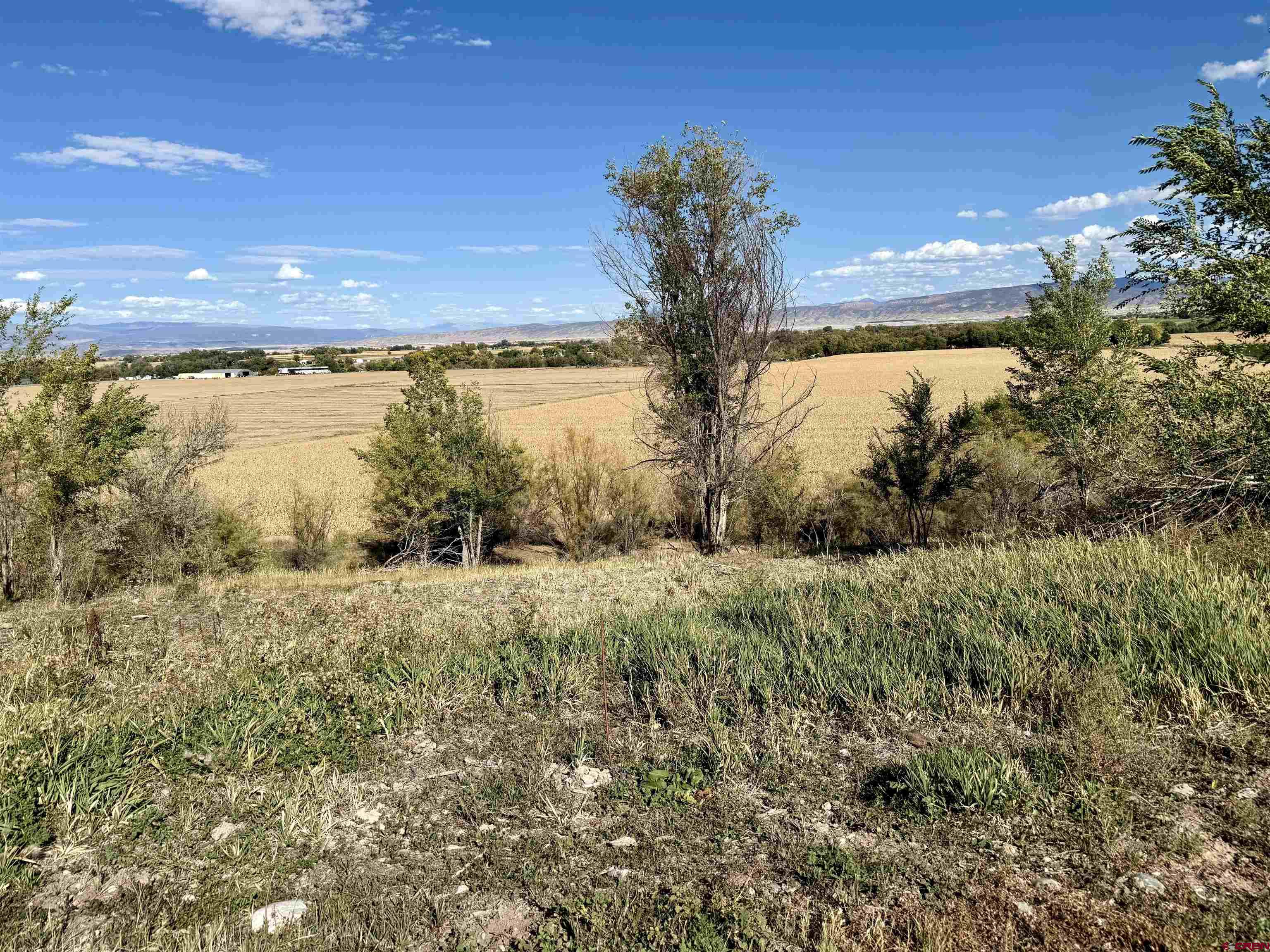 Lot 3 5500th Road Olathe, CO 81425 - Photo 6 of 22 a view of a lake