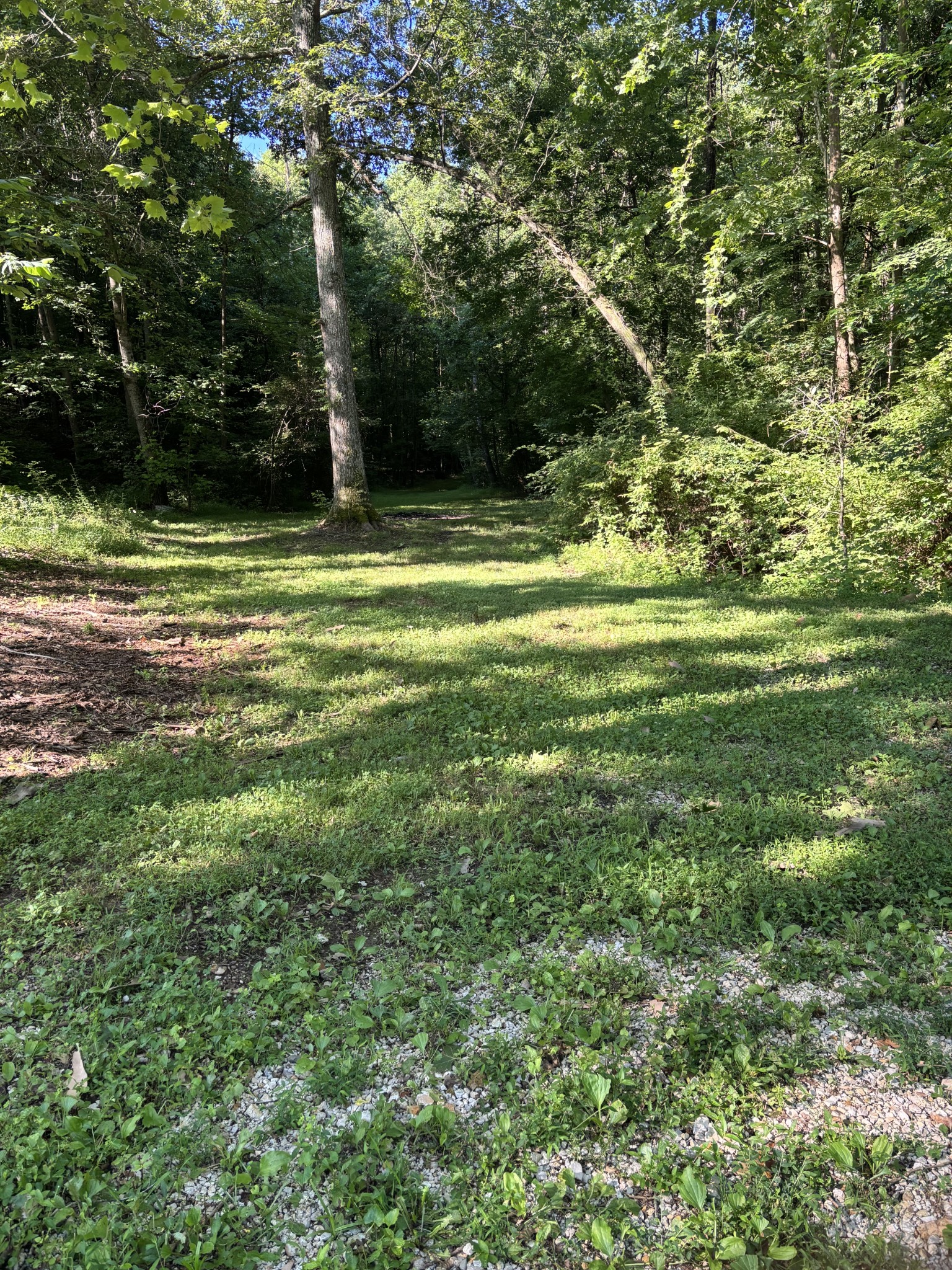 235 Morris Wheatley Road Big Sandy, TN 38221 - Photo 12 of 34 Gallery Image 12