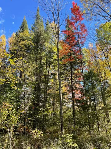 $250,000 | 19396 70th Avenue, Marion, MI 49665