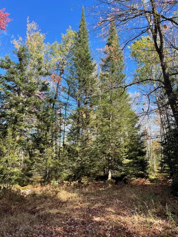 $250,000 | 19396 70th Avenue, Marion, MI 49665