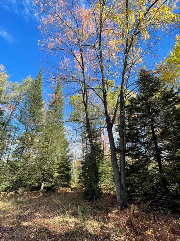 $250,000 | 19396 70th Avenue, Marion, MI 49665