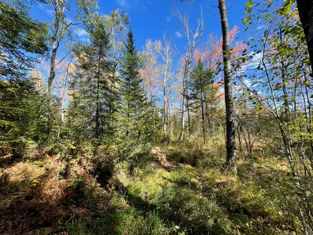 $250,000 | 19396 70th Avenue, Marion, MI 49665