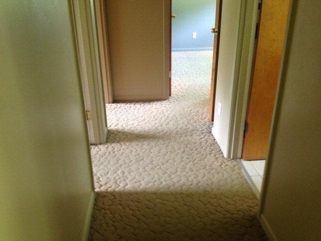 1264 Buffalo Zion Road Beattyville, KY 41311 - Photo 20 of 43 Photo 21