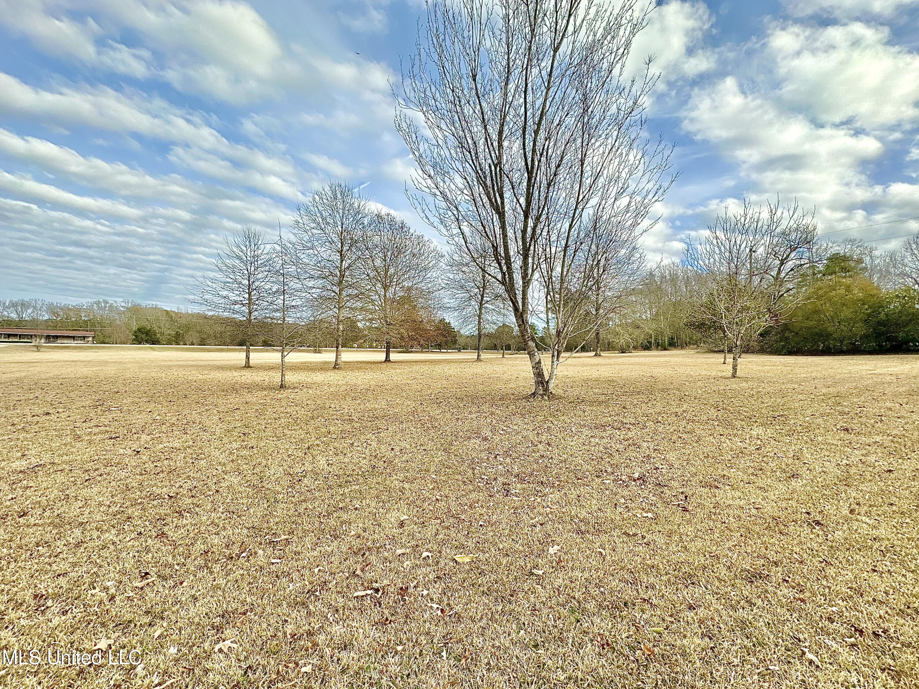 3242 Star Road Florence, MS 39073 - Photo 3 of 32 72696038908__53068579-A8DE-470F-A97D-F1A