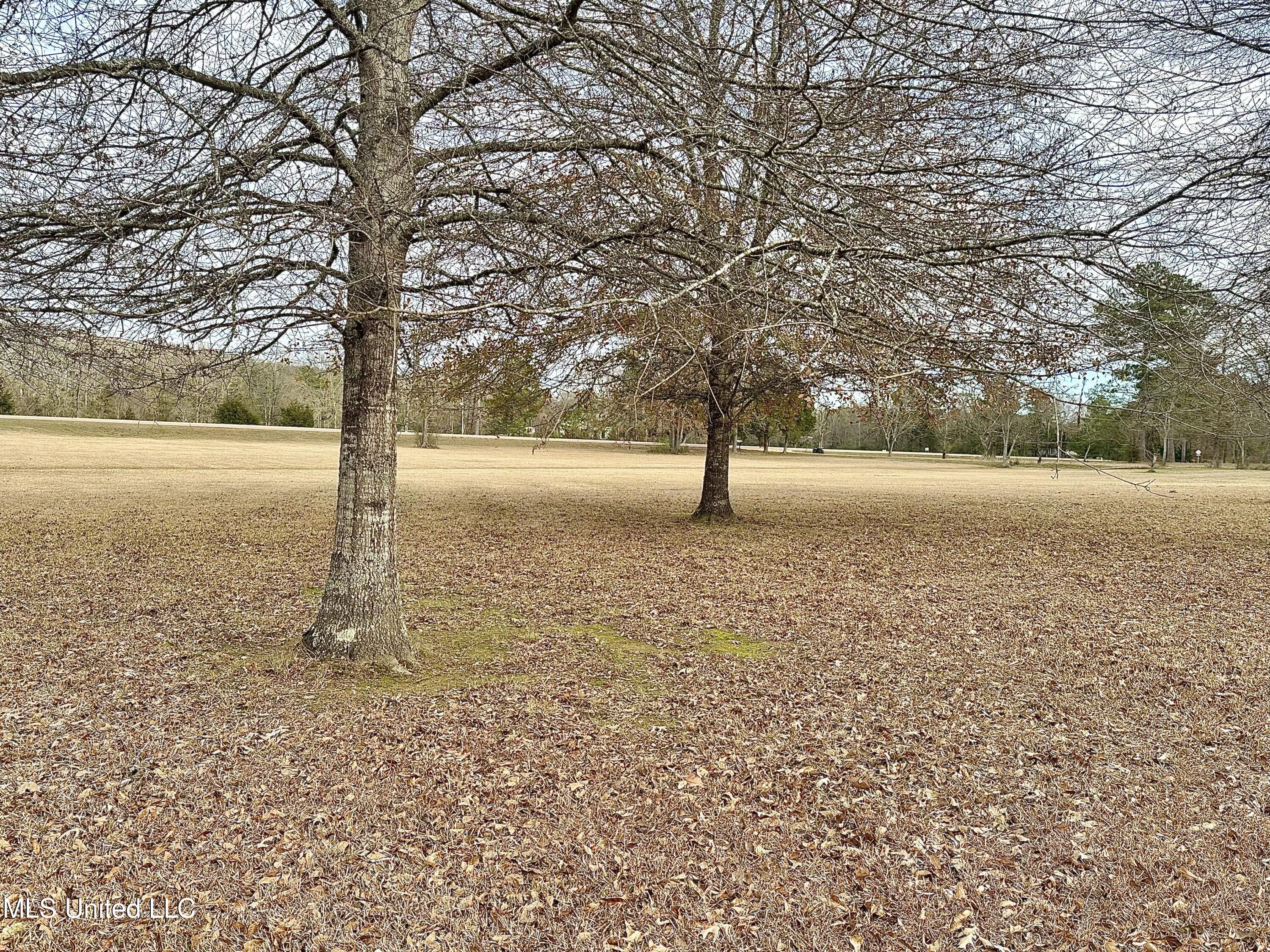 3242 Star Road Florence, MS 39073 - Photo 5 of 32 IMG_0190