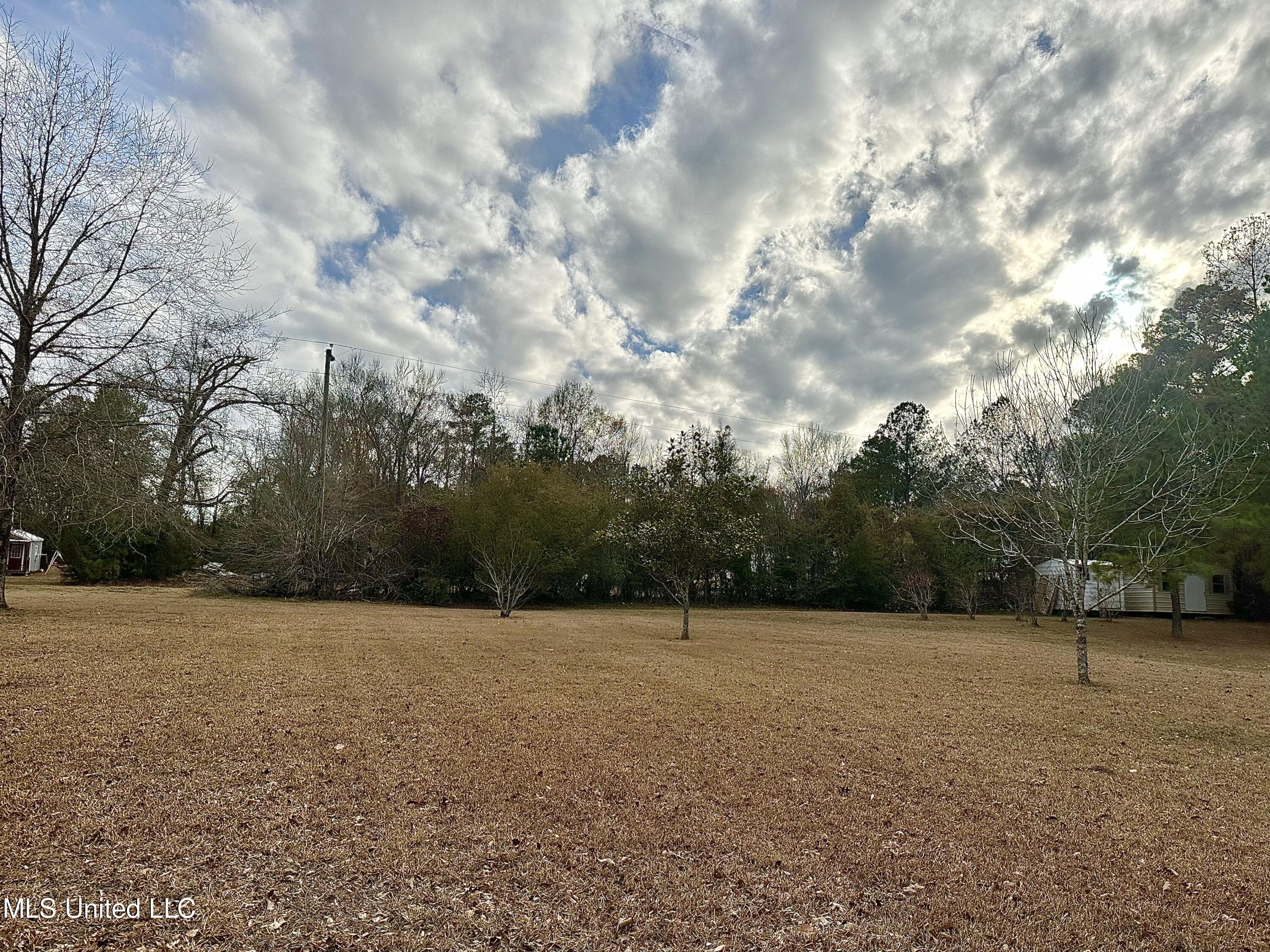 3242 Star Road Florence, MS 39073 - Photo 6 of 32 front yard side view