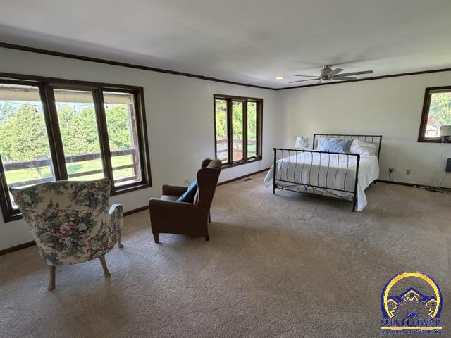 6257 West Lake Road Meriden, KS 66512 - Photo 29 of 77 Primary bedroom