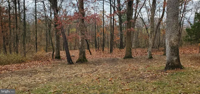 a backyard of a house with lots of tall trees