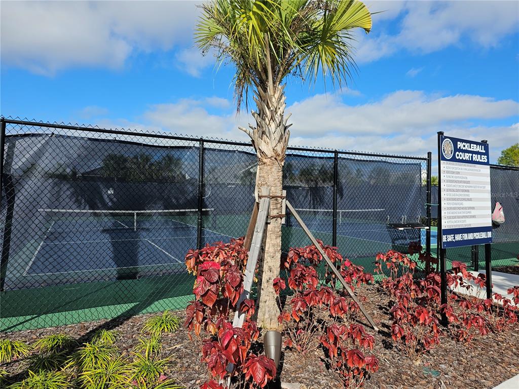 8181 Sternway Road Sarasota, FL 34240 - Photo 31 of 32 Tennis/Pickle ball