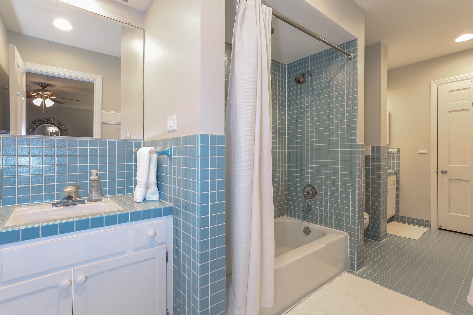1350 Inverlieth Road Lake Forest, IL 60045 - Photo 28 of 43 a bathroom with a sink and a bathtub