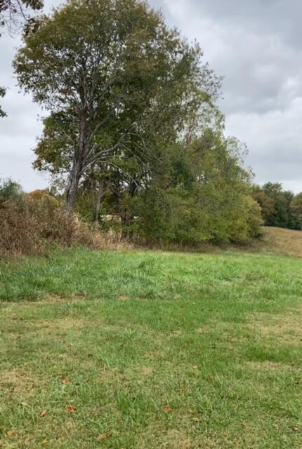 0 Davis Road Campbellsville, KY 42718 - Photo 6 of 18 IMG_0983