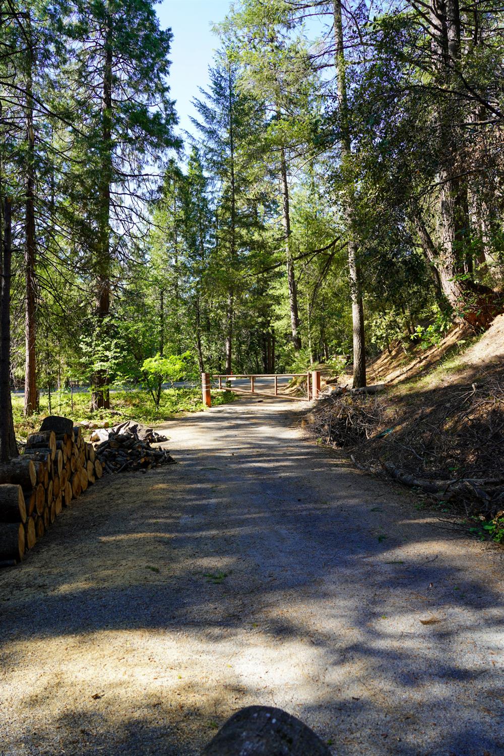30220 Magra Road Gold Run, CA 95717 - Photo 42 of 51