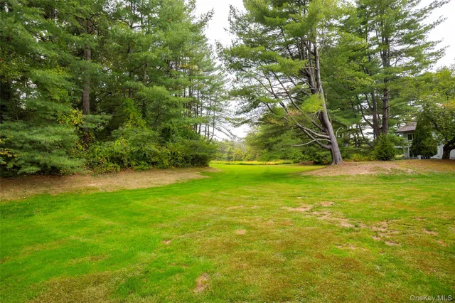 a view of a lake with a yard and large trees