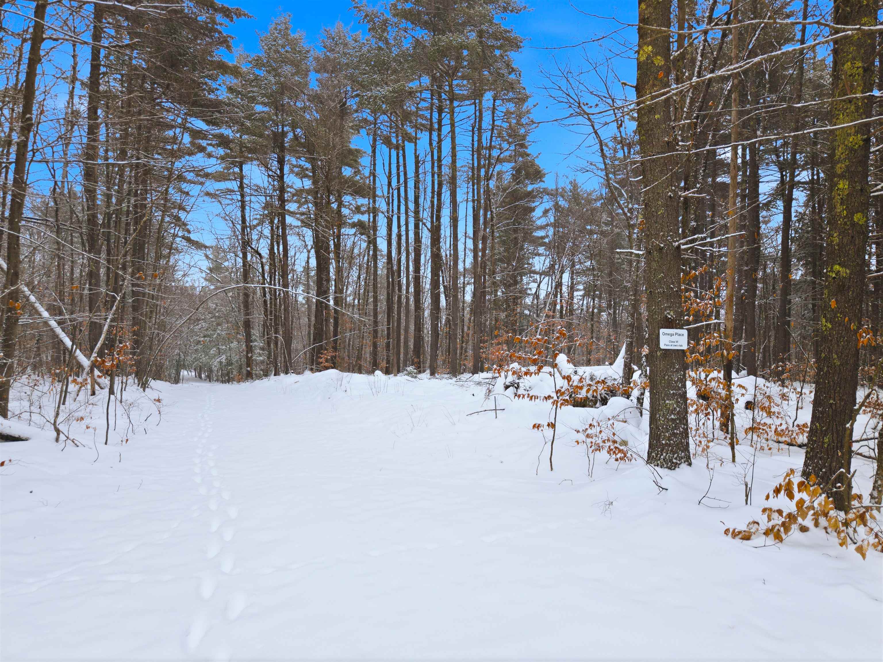 22 West Bergamo Road Madison, NH 03849 - Photo 3 of 13