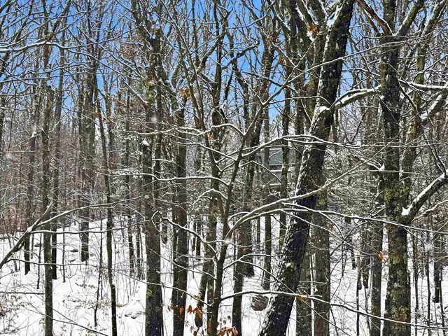 $39,900 | 22 West Bergamo Road, Madison, NH 03849