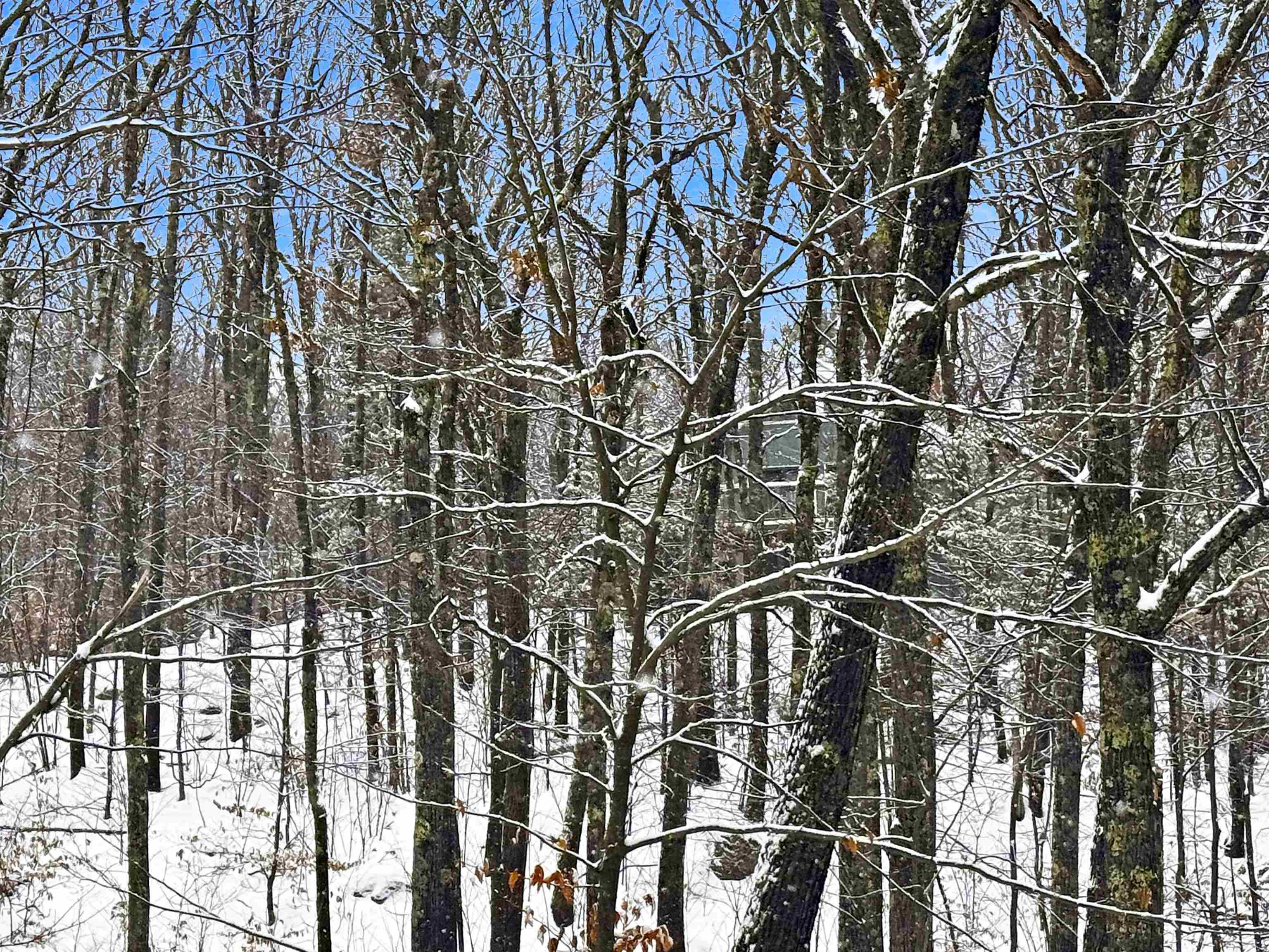 22 West Bergamo Road Madison, NH 03849 - Photo 8 of 13