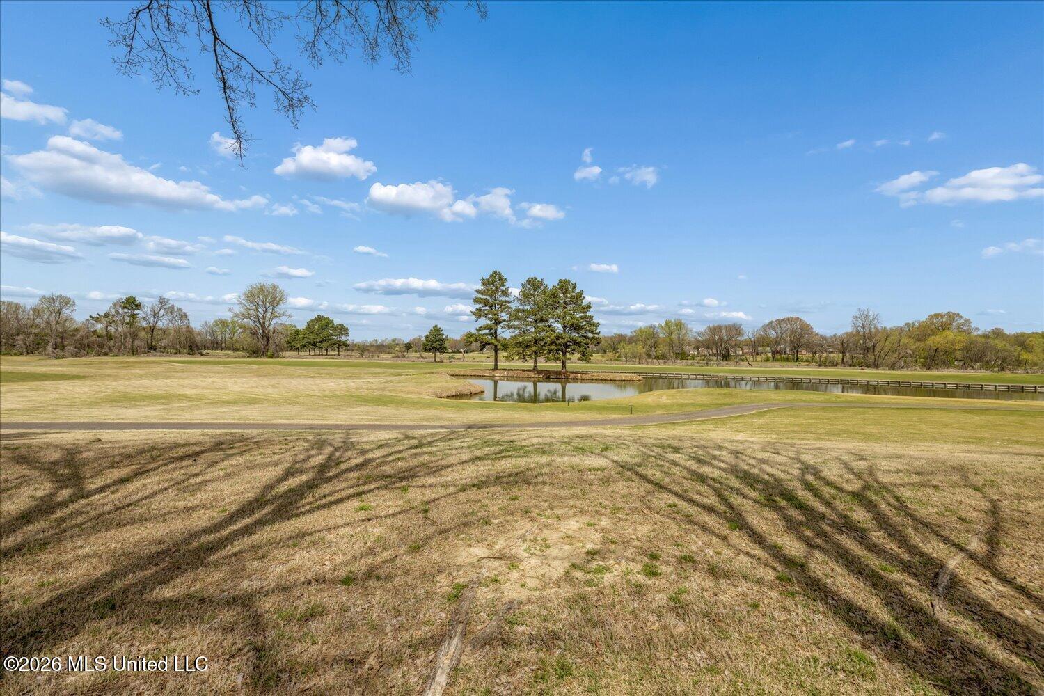 6037 Callaway Cove Olive Branch, MS 38654 - Photo 30 of 30 33-33-2899341ah-6037 Callaway Cv