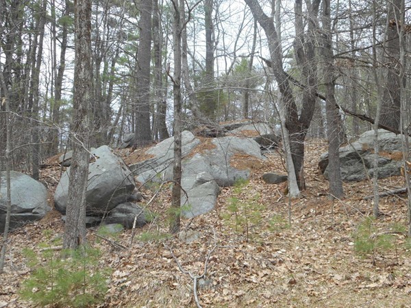 95 Secret Lake Road Phillipston, MA 01331 - Photo 21 of 25
