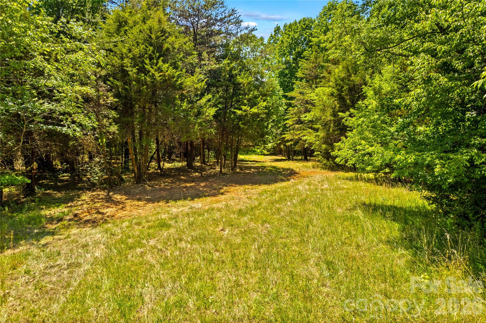 190 Sheffield Road Harmony, NC 28634 - Photo 3 of 13 a view of yard with green space