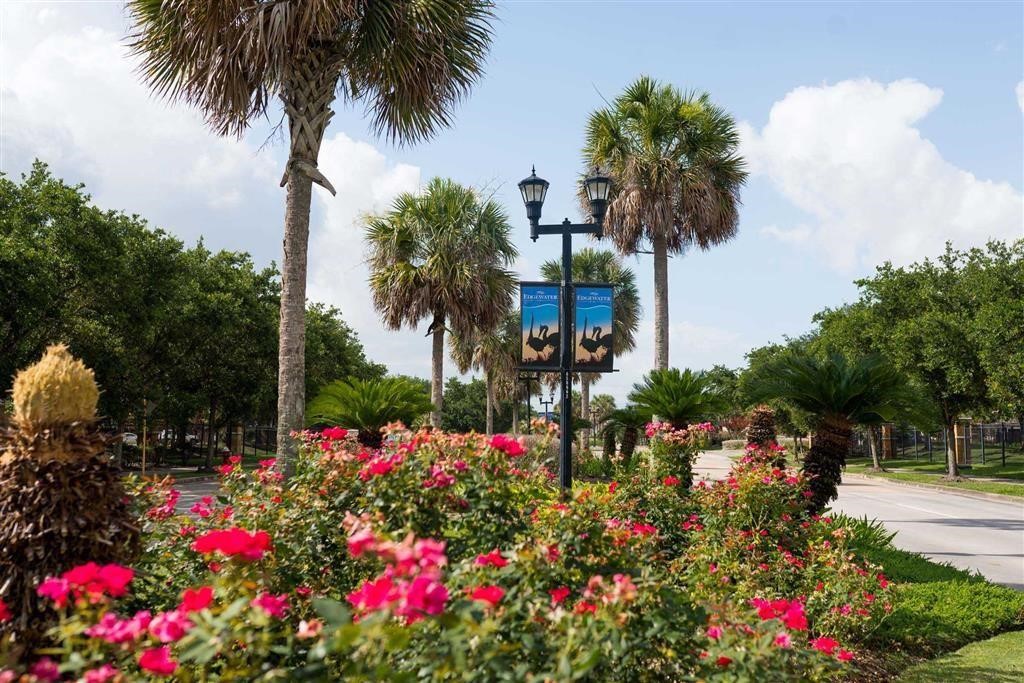 19515 Old Galveston Road Webster, TX 77598 - Photo 7 of 8 a picture of flowers