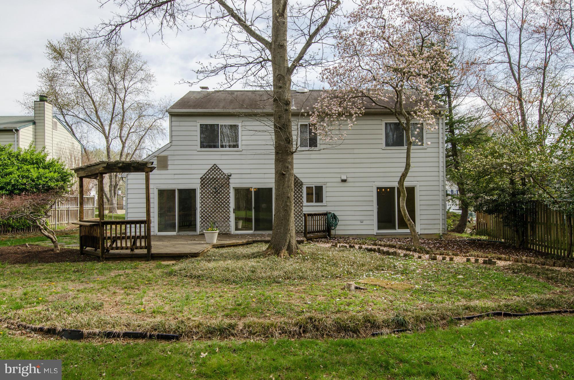 5514 Dunsmore Road Alexandria, VA 22315 - Photo 23 of 30 Backs to Woods for Privacy