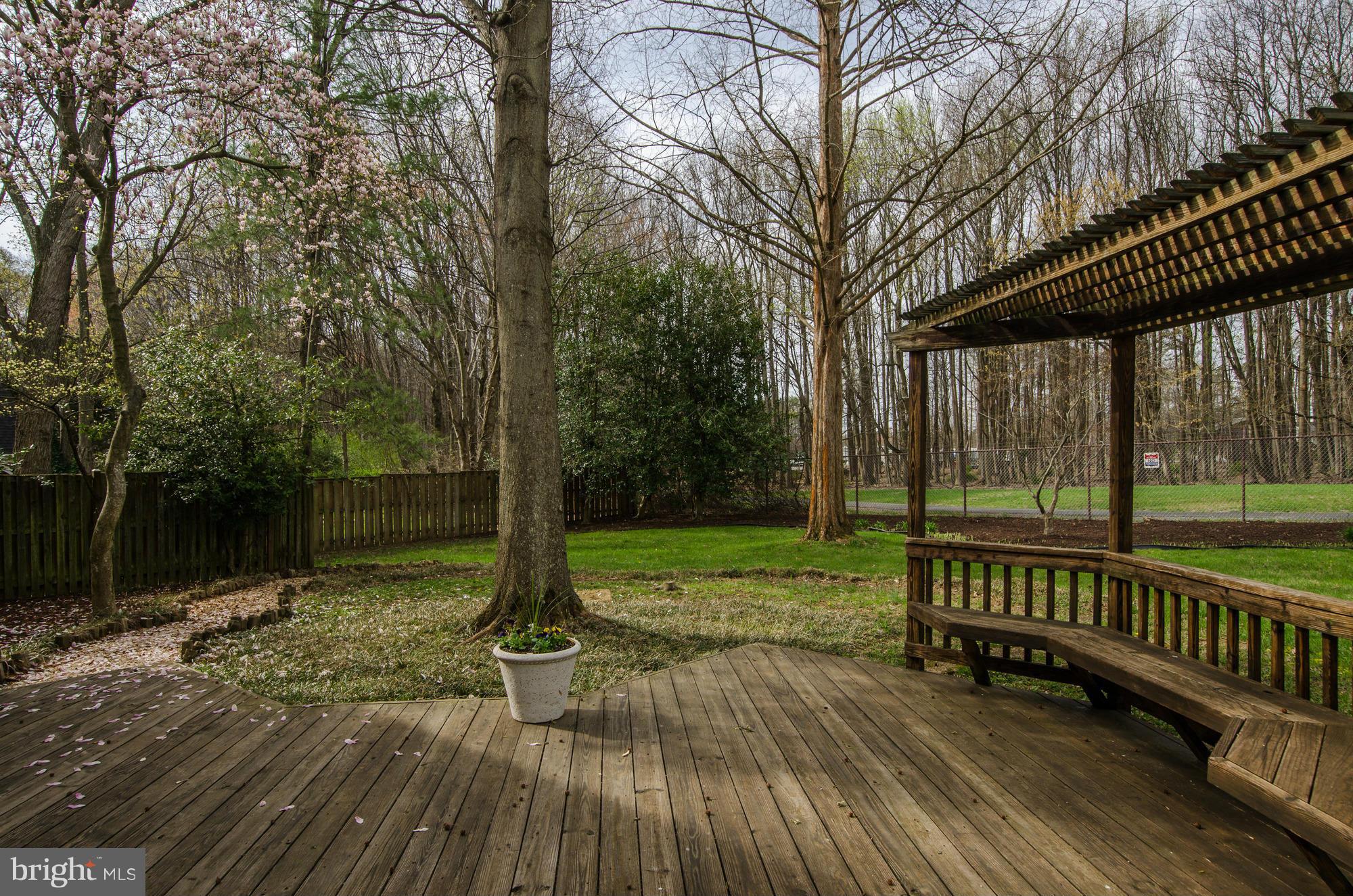 5514 Dunsmore Road Alexandria, VA 22315 - Photo 25 of 30 Plenty of Room to Entertain or Simply Relax!