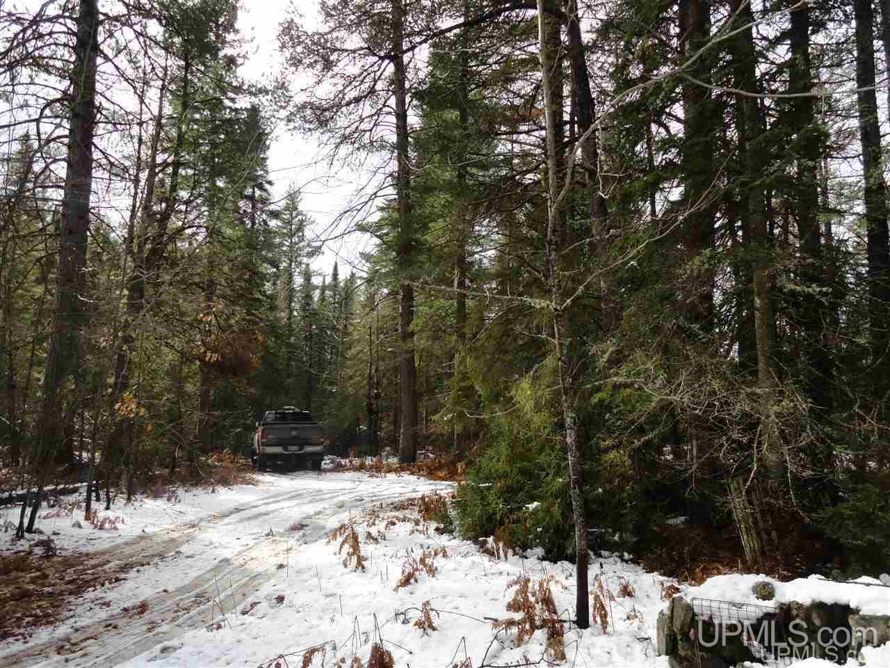 80-acres 80-acres Co Road Negaunee, MI 49866 - Photo 1 of 45