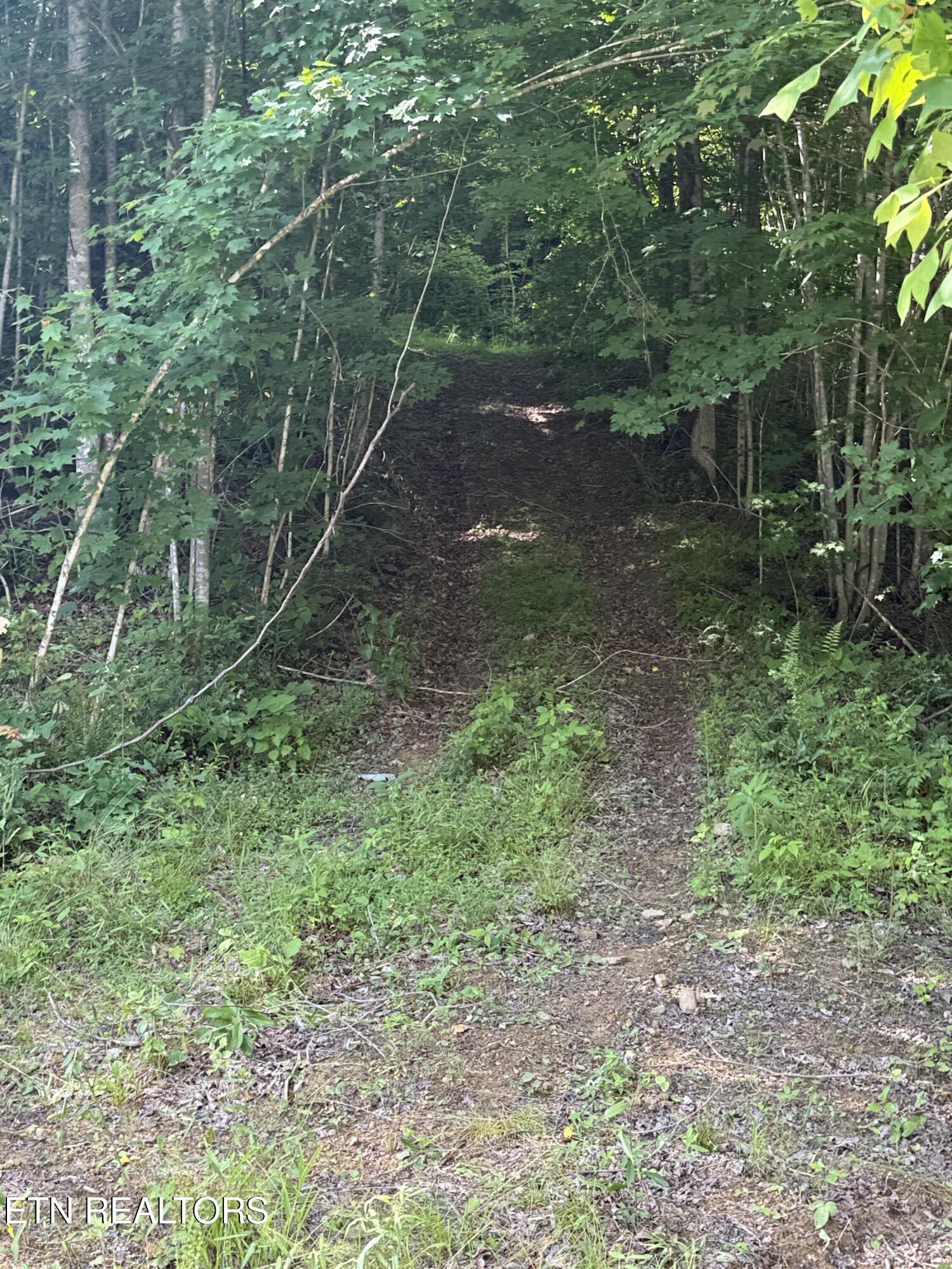 549 Defender Road La Follette, TN 37766 - Photo 28 of 42 Trail 2