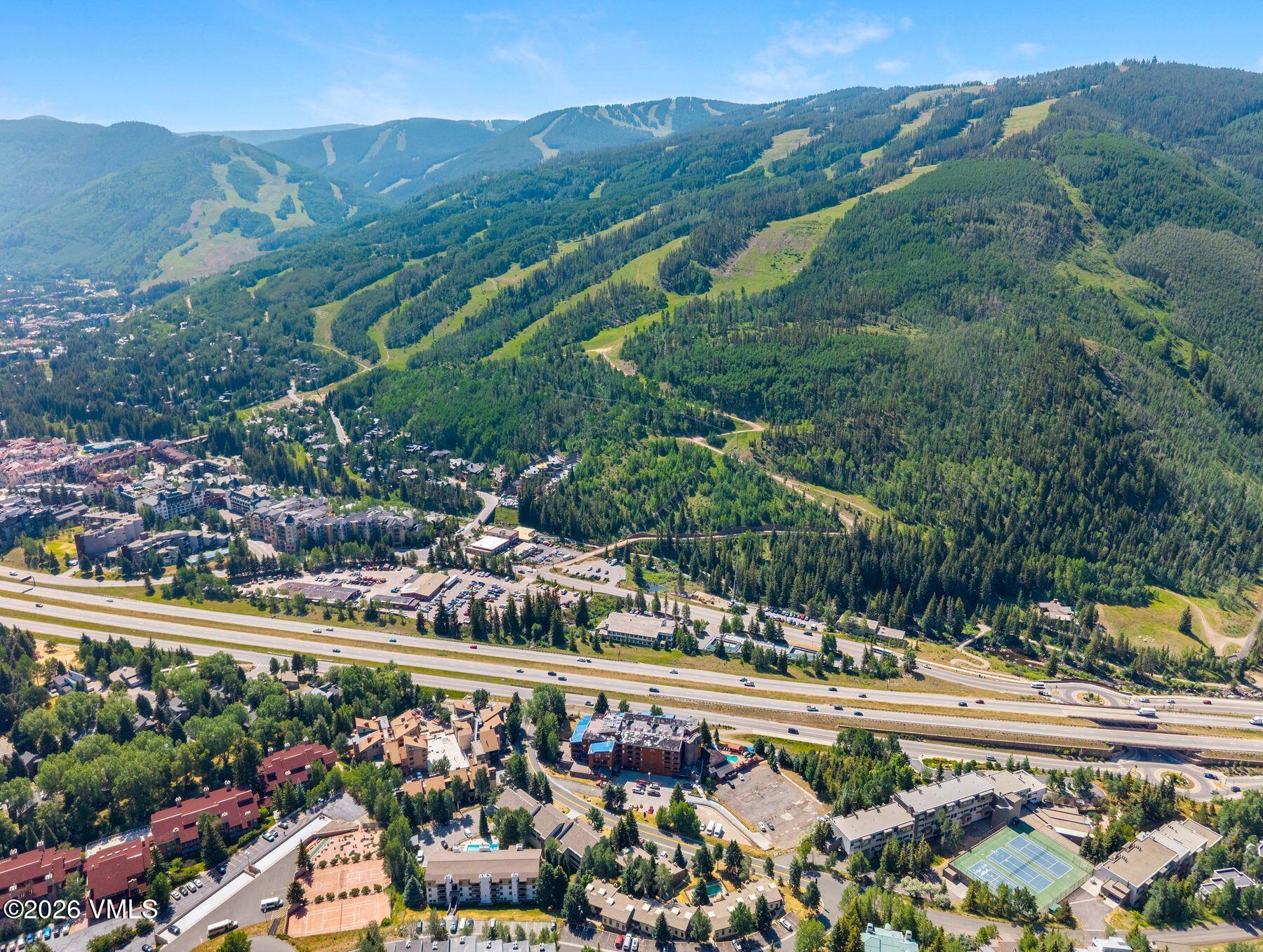 1100 North Frontage Road West, Unit 1503 Vail, CO 81657 - Photo 2 of 32 a view of a city with flower plants